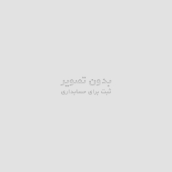 قاشق چایی خوری وارداتی طرح برگ(سیلور)